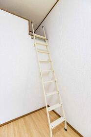 15/16 その他画像