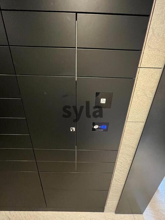 13/19 その他画像