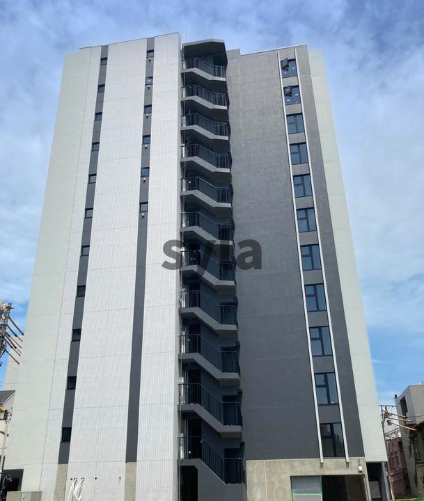 15/19 その他画像