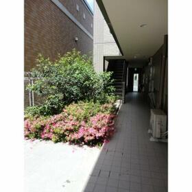 5/12 その他画像