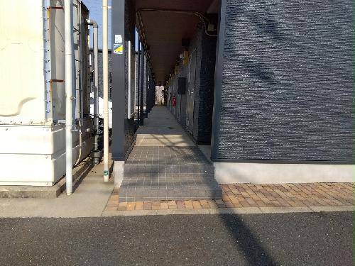 11/14 その他画像