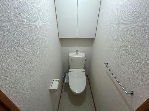 8/14 その他画像