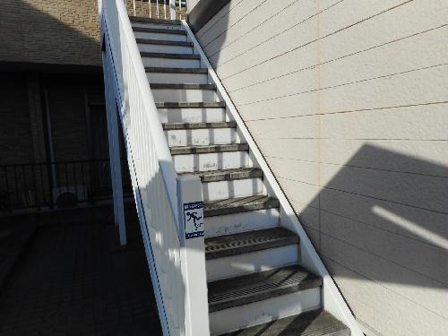 12/14 その他画像