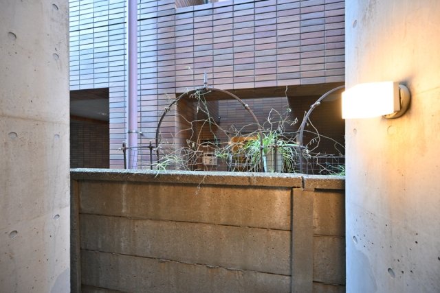 17/21 その他画像