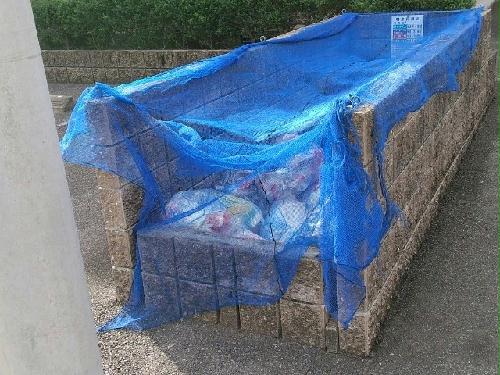 11/24 その他画像