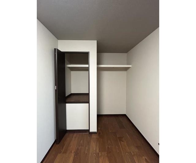 29/29 その他画像