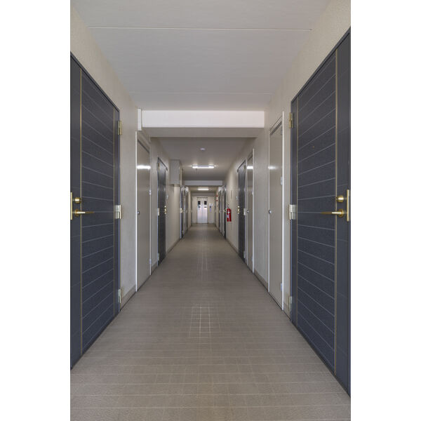 11/15 その他画像