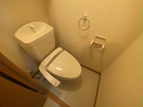 8/15 その他画像