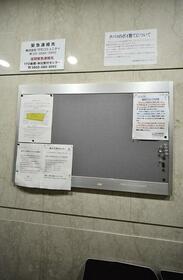 8/14 その他画像