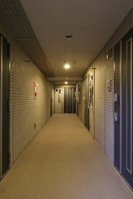 15/18 その他画像