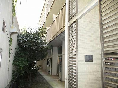 13/13 その他画像