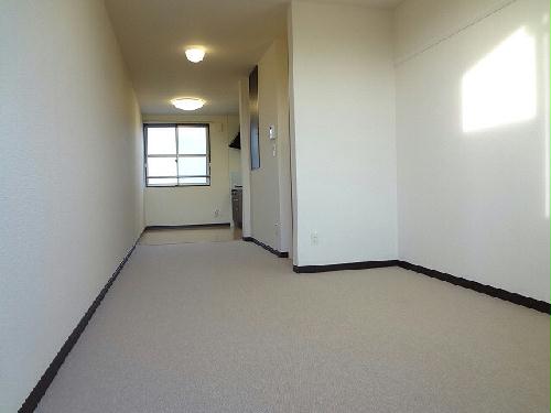 14/14 その他画像