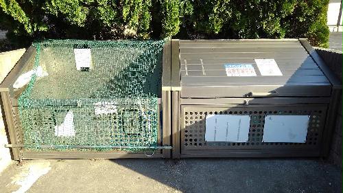 11/14 その他画像