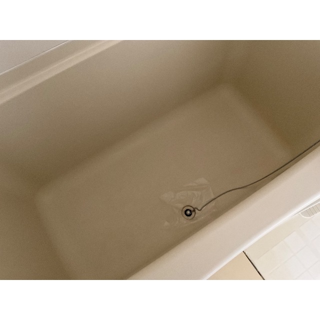 11/24 その他画像