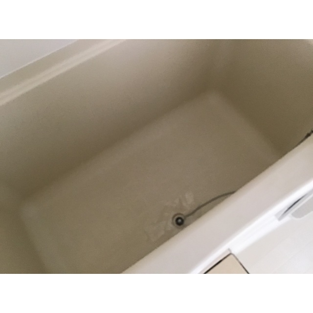 11/24 その他画像