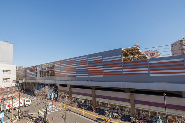 25/29 その他画像