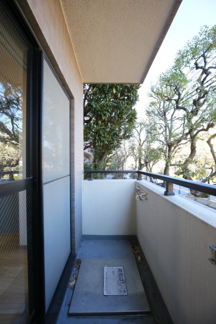 11/17 バルコニー