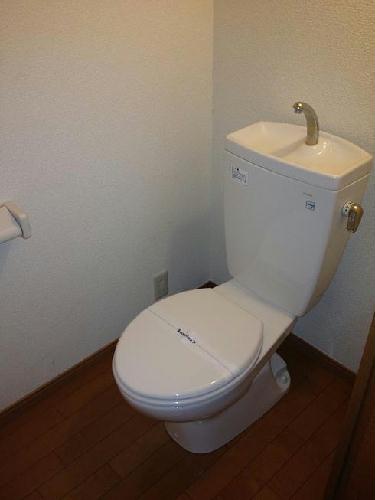 11/16 その他画像