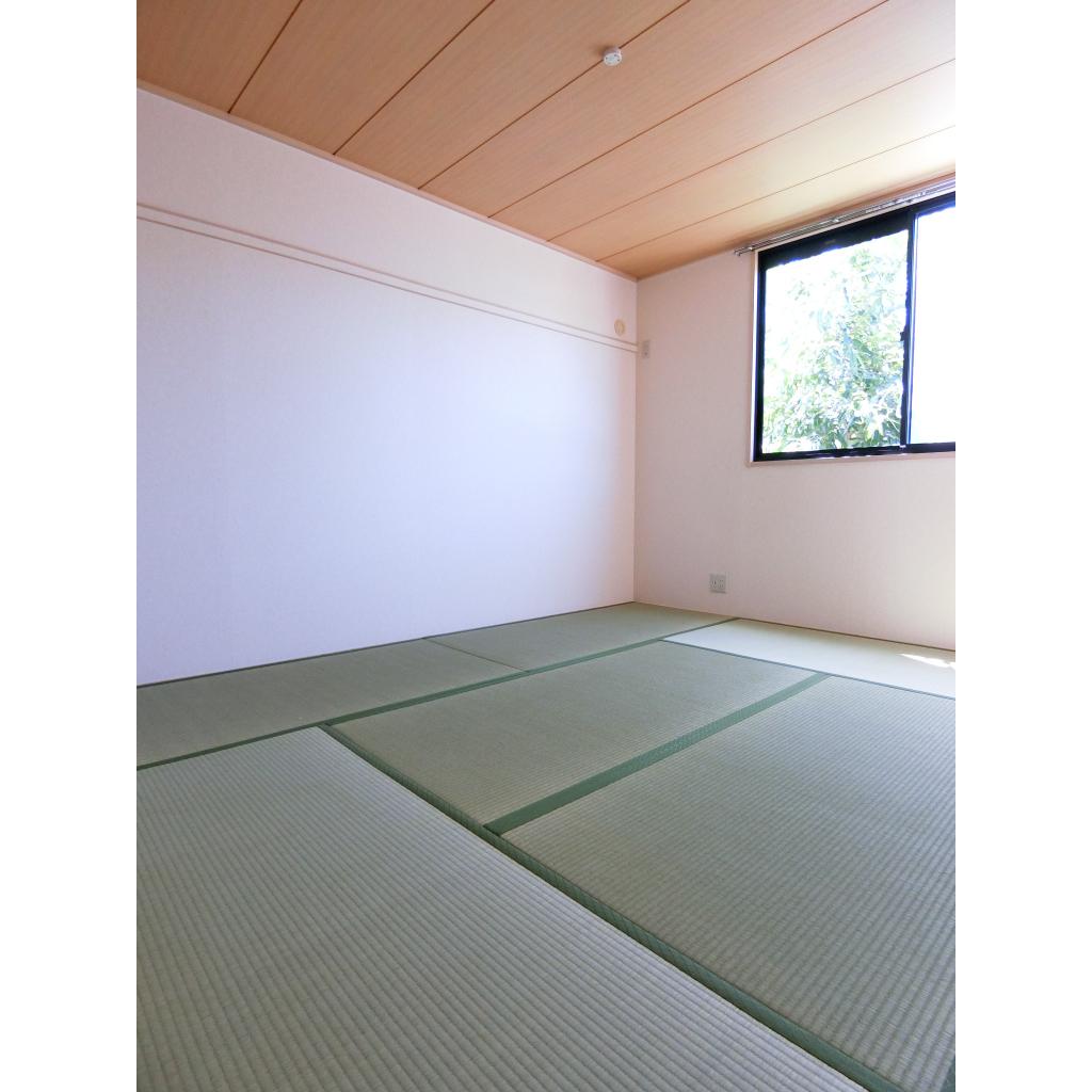 16/20 その他画像