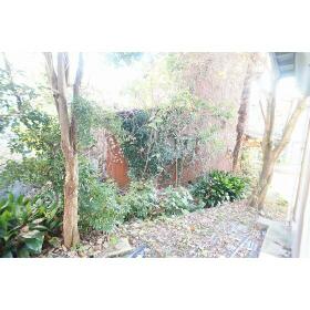 14/19 その他画像