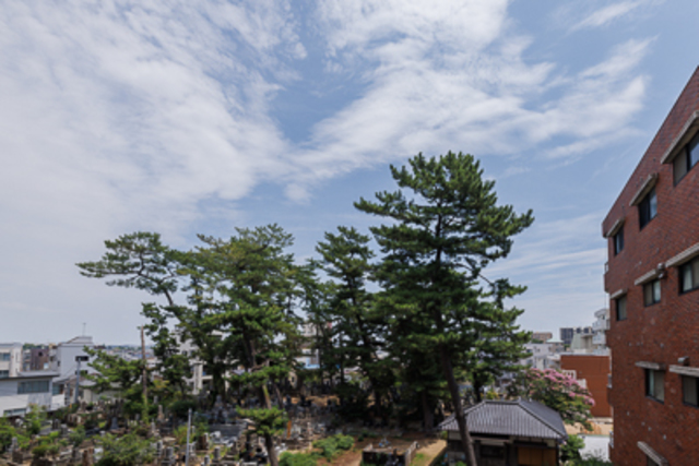 23/29 その他画像