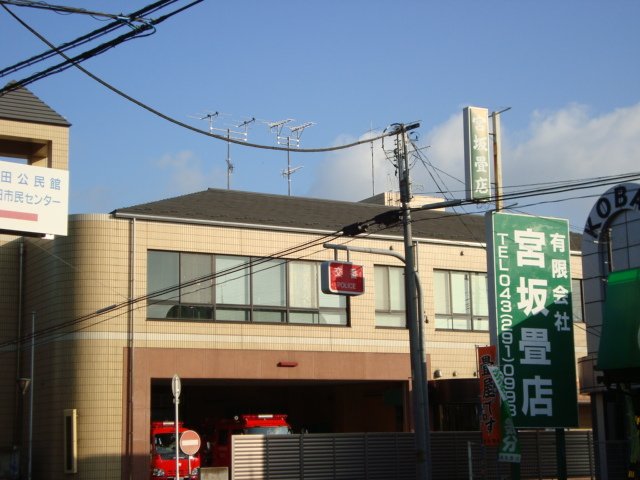 5/6 周辺