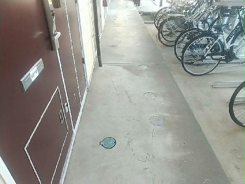 8/15 その他画像