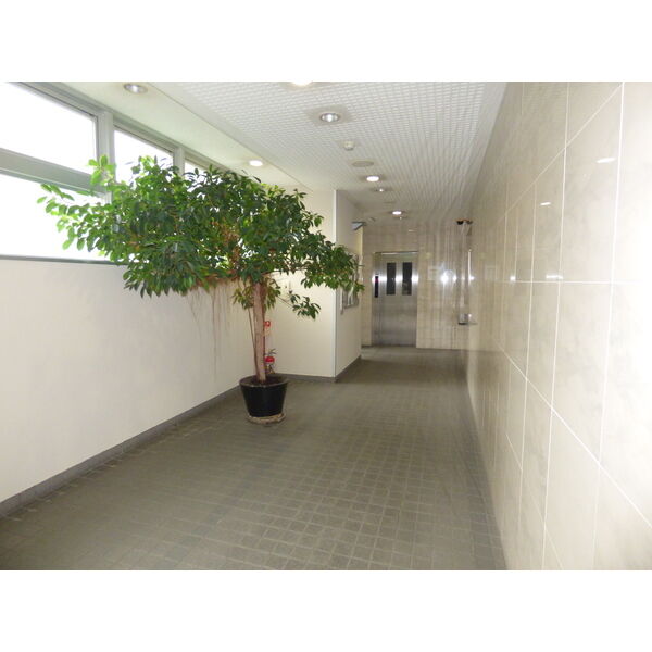 16/20 その他画像