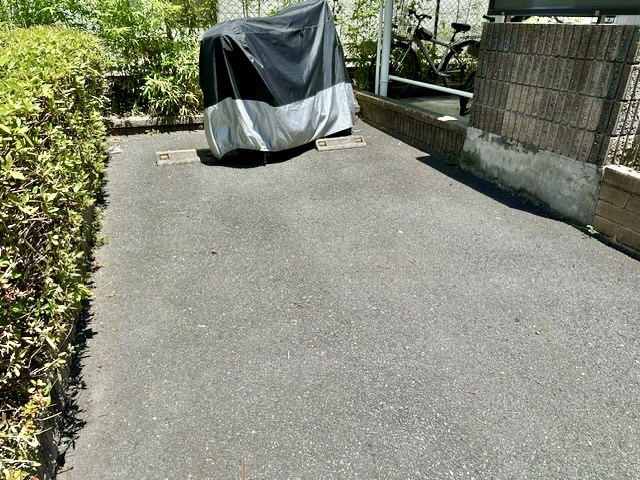 13/19 その他画像