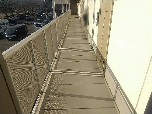 14/14 その他画像