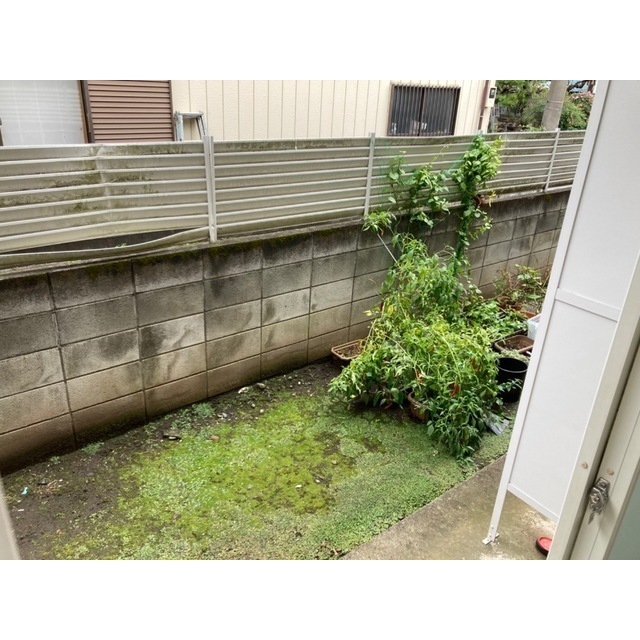 22/26 その他画像