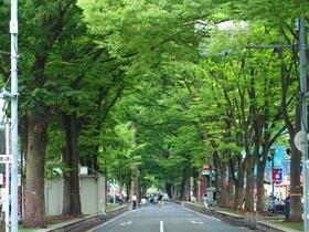 17/28 その他画像