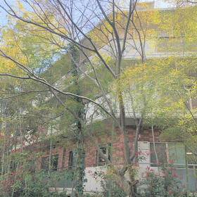12/12 その他画像