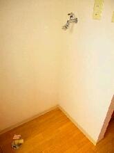 15/16 その他画像