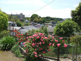 16/17 その他画像