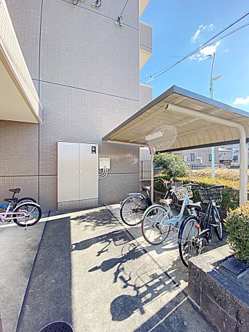 25/29 その他画像