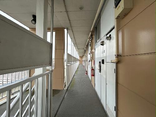 8/14 その他画像