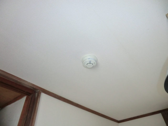 15/30 その他画像