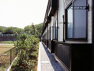 11/21 その他画像