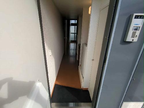 11/14 その他画像