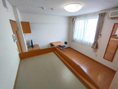 11/20 その他画像