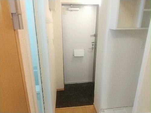 11/14 その他画像