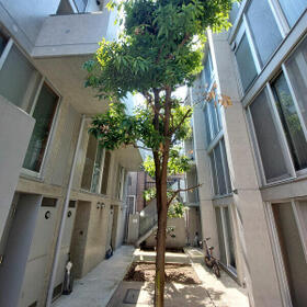 5/15 その他画像