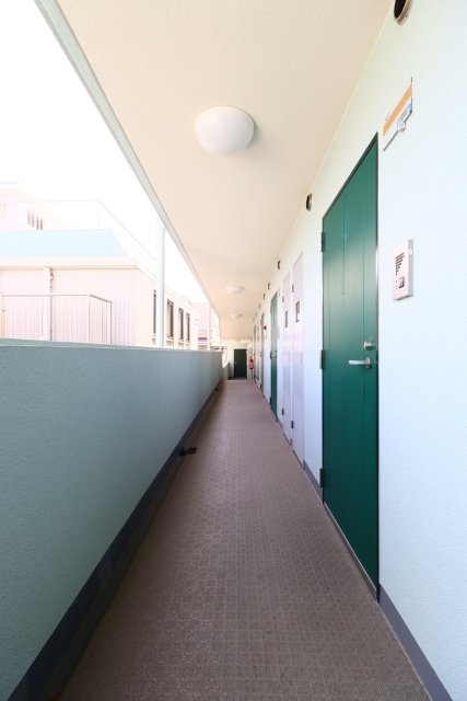 11/21 その他画像