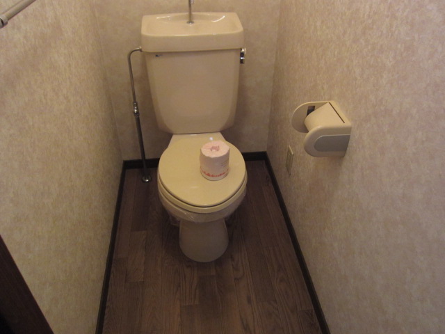 12/29 トイレ
