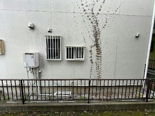 9/21 その他画像