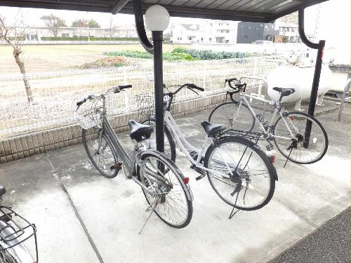 11/14 その他画像