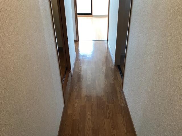 20/29 その他画像