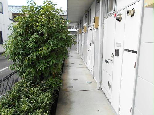 11/17 その他画像