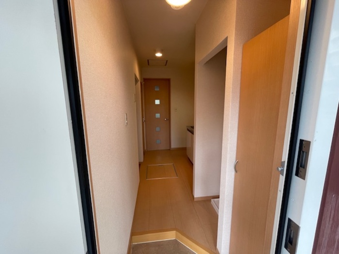 5/19 玄関